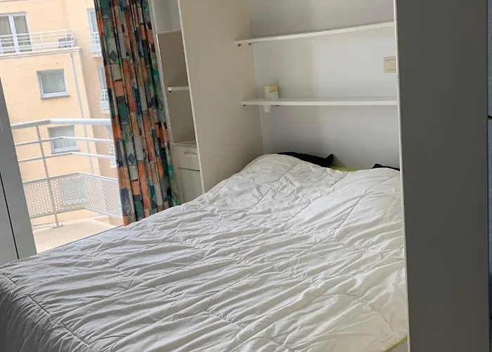 Zeezicht Iii - Modern Seaview With Swimmingpool T42 奥斯滕德